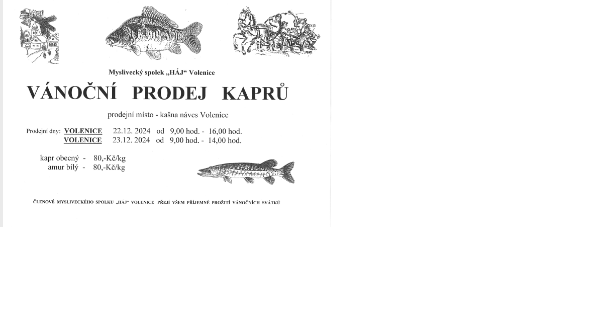 Vánoční prodej kaprů